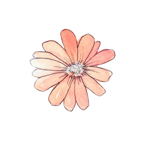 Download High Quality Flowers Transparent Overlay Transparent Png