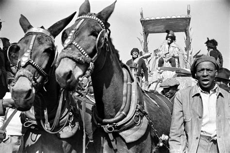 1,776 likes · 15 talking about this. Zulu King | New Orleans | Pinterest