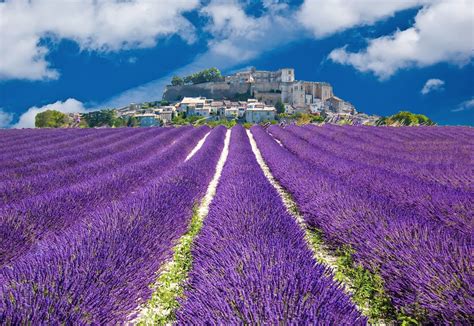 Côte Dazur Die Französische Riviera Provence Infode