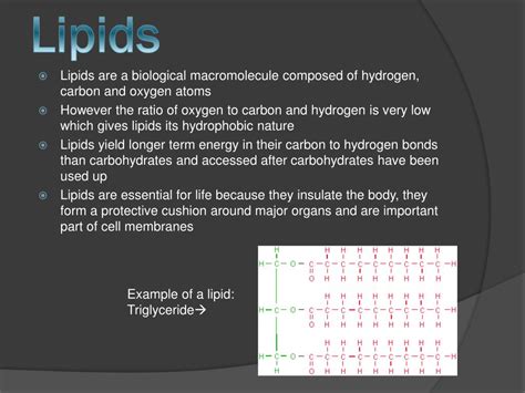 Ppt Lipids Powerpoint Presentation Free Download Id3056716