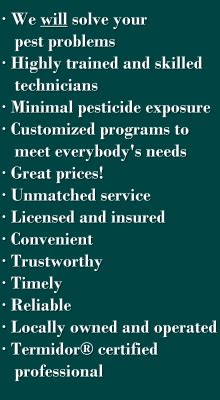 The top 10 competitors in port orange pest control's competitive set are thecrowdcontroller, bug pro florida, pestbear, sedcon technologies, abode. Ryan's Pest Control, Inc.