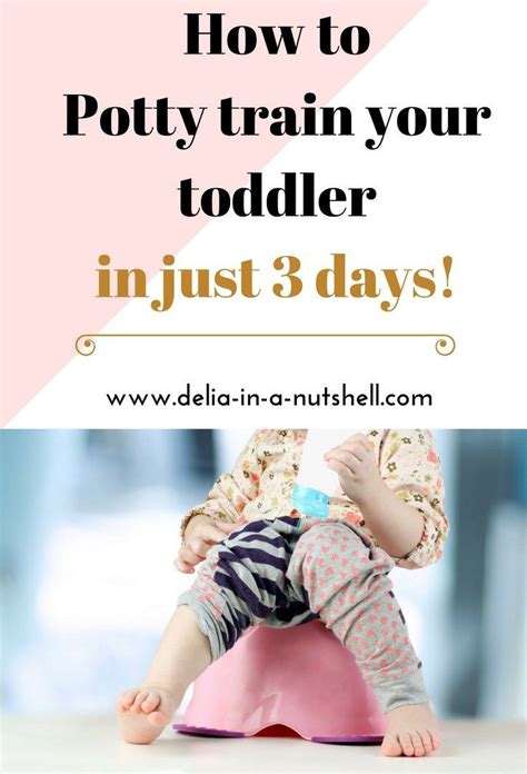 How We Potty Trained Our Daughter In Just 3 Days Delia In A Nutshell
