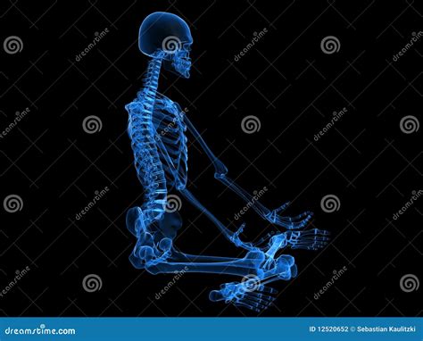 X Ray Human Skeleton Stock Illustration Illustration Of Skeleton 12520652