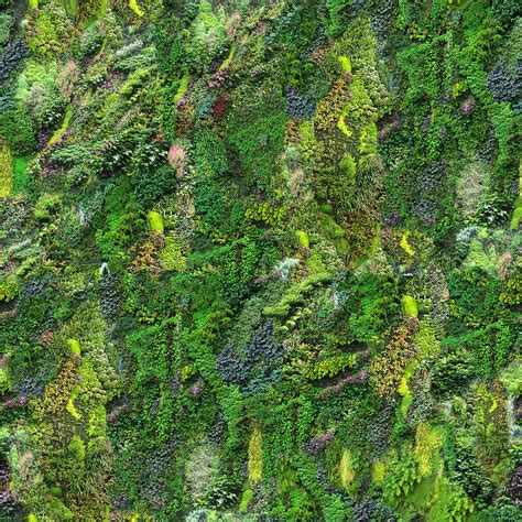 Texture Jpeg Green Wall Seamless