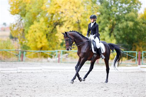 11 Horse Riding Position Fixes To Change Your Ride Talking To Horses