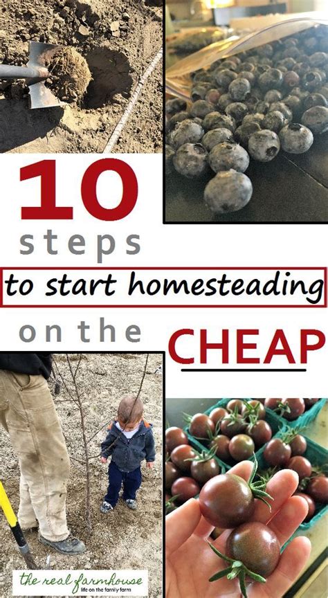 10 Steps To Start Homesteading On The Cheap Where To Start When You