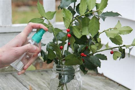 Preserved flowers provide graceful reminders of summer blooms. How to Preserve Evergreens with Glycerin | Hunker | How to ...