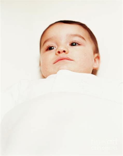 Baby Boy Photograph By Paul Whitehillscience Photo Library