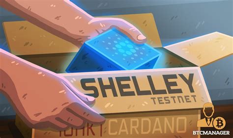 Cardano has been making new highs since july 2020, after crossing the $0.08 barrier in over a year. Cardano (ADA) Launches Shelley Network Testnet | Product ...