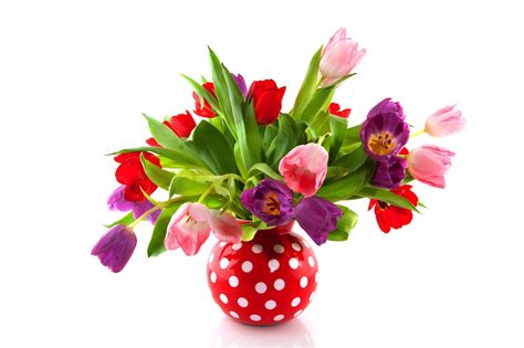 Arreglos con florales exóticos