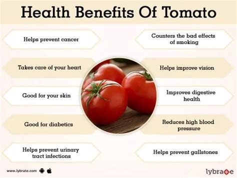 Is Tomato Fruit Or Vegetable Explained Greenstories