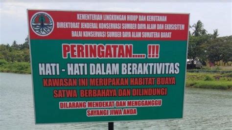 Bagi anda yang ingin berlangganan indihome untuk semua daerah yogyakarta, anda sudah tepat membuka iklan ini, kami menawarkan paket termurah dan proses pendaftaran berlangganan yang mudah, tanpa antri, tanpa nunggu lama. Habitat Buaya, BKSDA Sumbar Pasang Plang Peringatan di Sungai Batang Anai - Daerah | RRI Padang