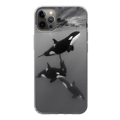 Muchowow Handyhülle Orca Wasser Schwarz Weiß Handyhülle Apple Iphone 13 Pro Max