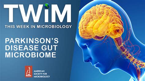 Parkinsons Disease Gut Microbiome