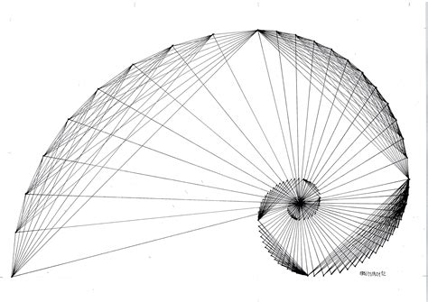 Fractal Fibonacci Goldenratio Geometry Symmetry Handmade Mathart