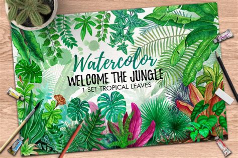 Tropical Leaves in the Jungle ~ Illustrations ~ Creative Market