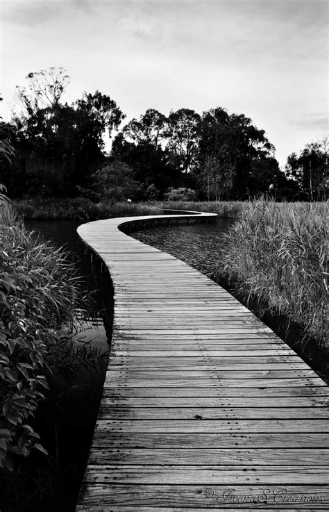 Appreciating the Artistic Value of Black and White Photography