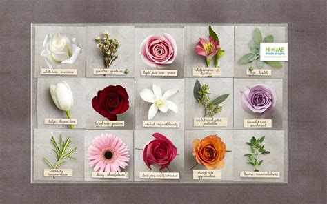 Same day delivery · satisfaction guarantee · fresh flower guarantee The Language of Flowers