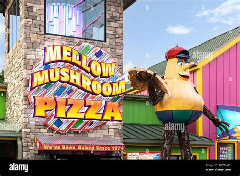 Mellow Mushroom Pizza At The Island In Pigeon Forge The Restaurant Is