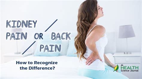 It is very tender to the touch. Back Pain or Kidney Pain? How to Recognize the Difference? - The Health Science Journal