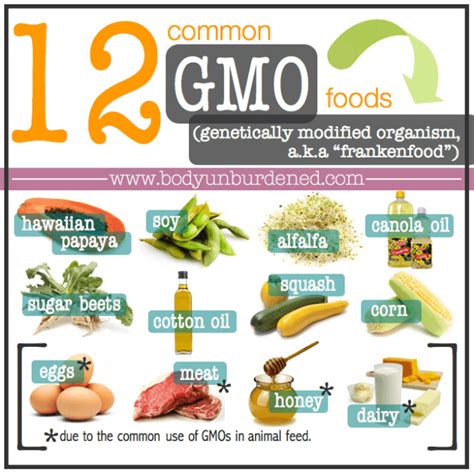 12 Common Gmo Foods