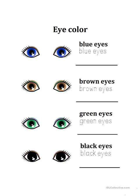 Eye Color English Esl Worksheets For Distance Learning And Physical