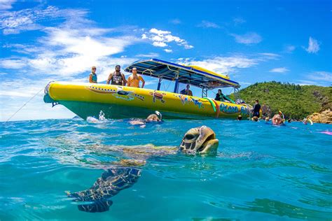 Whitsundays Full Day Jet Rafting And Whitehaven Beach Tour Airlie Beach Adrenaline