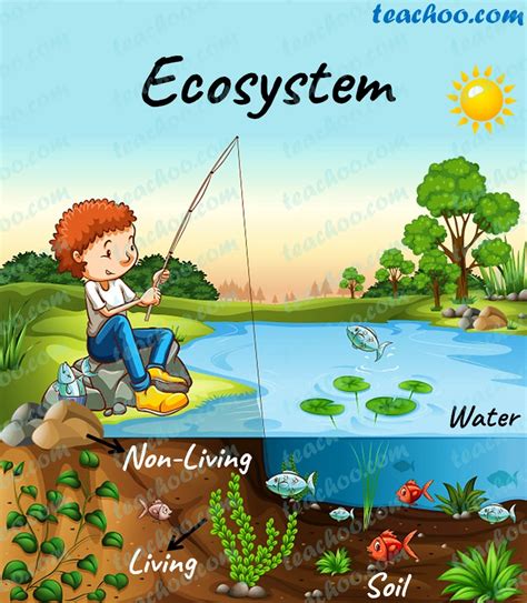 Ecosystem - Definition, Structure and Function, Types ...