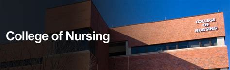Fsu Florida State University College Of Nursing