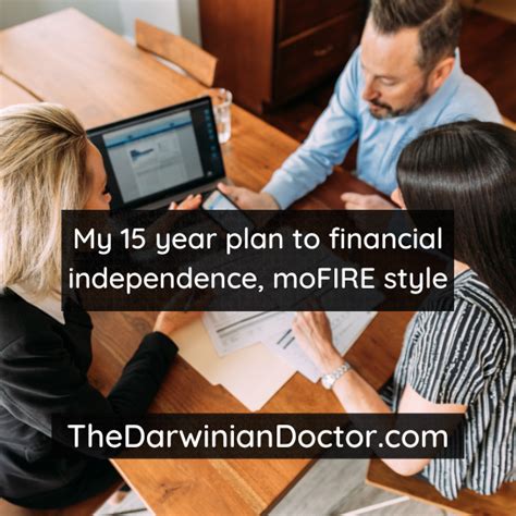 My 15 Year Plan To Financial Independence Mofire Style The Darwinian