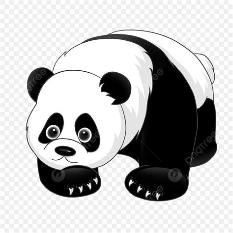 Netter Panda Clipart Der Panda Panda Clipart Hand Gezeichneter Panda
