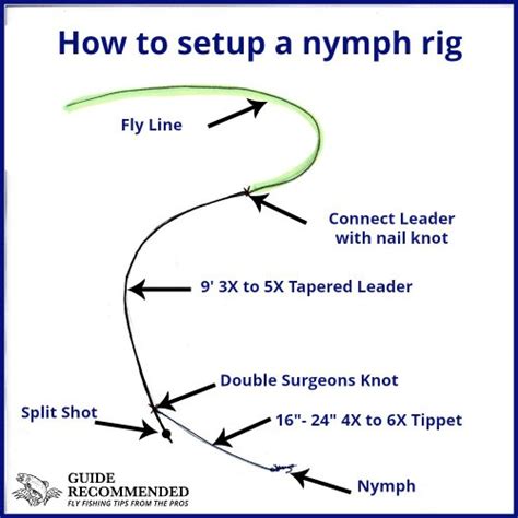Basic Fly Fishing Line Setup