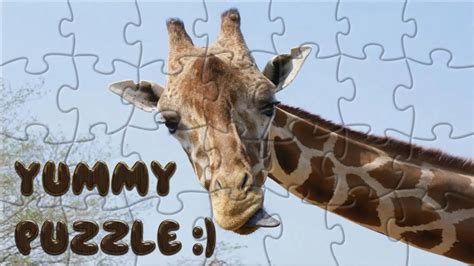 Giraffe Puzzle Youtube