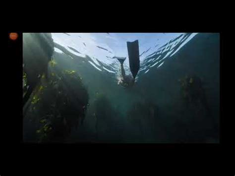 Netflix's my octopus teacher follows the documentarian craig foster who felt burnt out and depressed by his work. Professor Polvo ( My Octopus Teacher) Trailer legendado ...