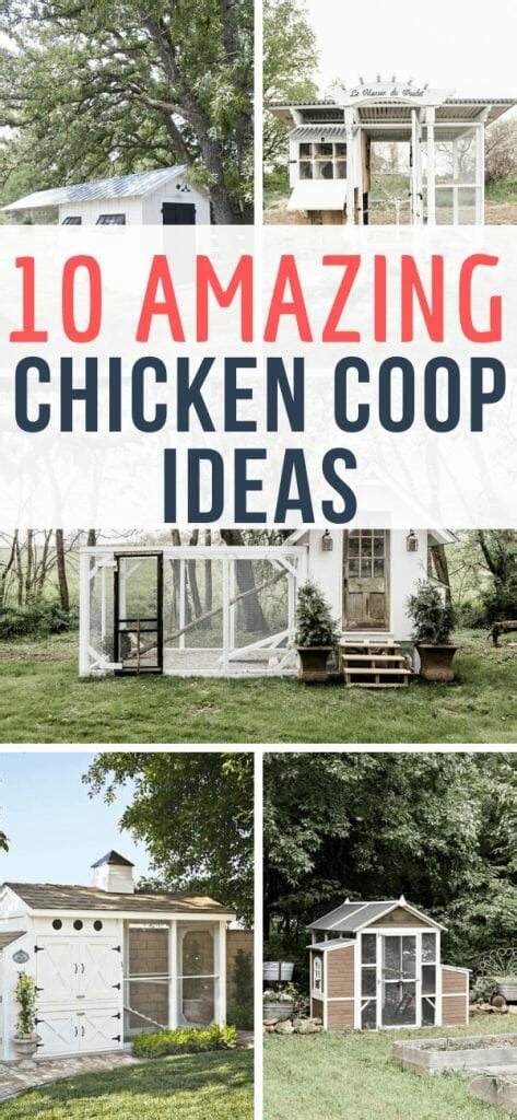 amazingly gorgeous and stylish chicken coop ideas twelve on main