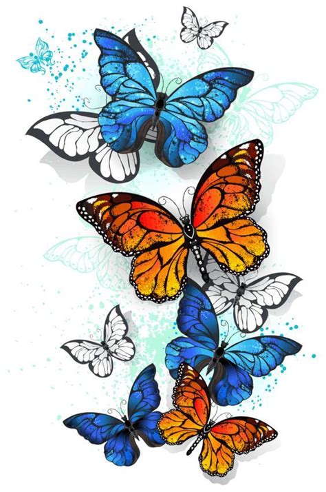 Yellow Butterfly Meaning Butterfly Symbolism Butterfly Images Orange
