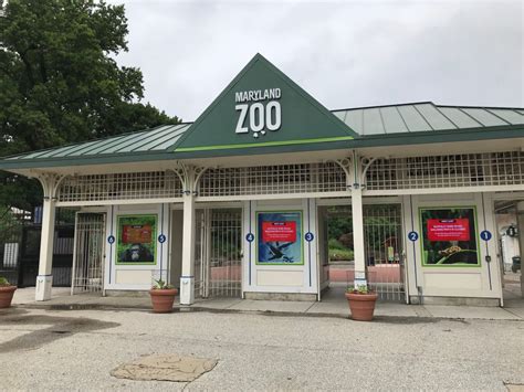 Wild Adventures At The Maryland Zoo In Baltimore Adventure Moms Dc