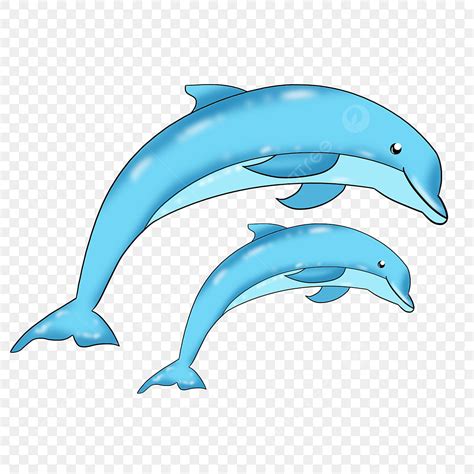 Marine Animals Clipart Transparent Png Hd Marine Dolphin Cartoon