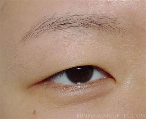 Circa 1865, in the meaning defined above. For Asian Hooded Lids: Vertical Gradient Method Of ...