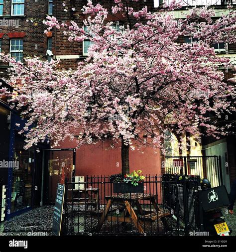 Springtime In London Stock Photo Alamy