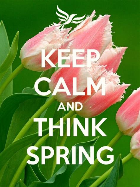 Think Spring Keep Calm Posters Keep Calm Quotes Jokes Pics Jokes