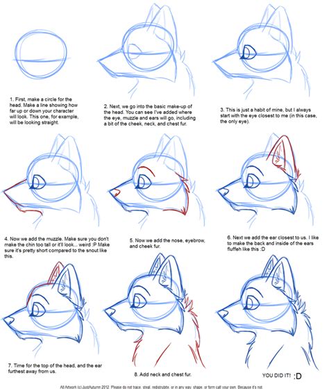 Step By Step Drawing A Wolf At Getdrawings Free Download