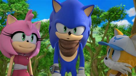 Sonic Boom New Characters Sticks