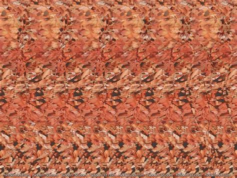 Someone Posted The Most Boring Stereogram Ever So I Figured Id Leave A Few Sexy Ones Here