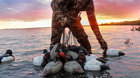 Tips And Tactics For Hunting Diver Ducks An Official Journal Of The Nra