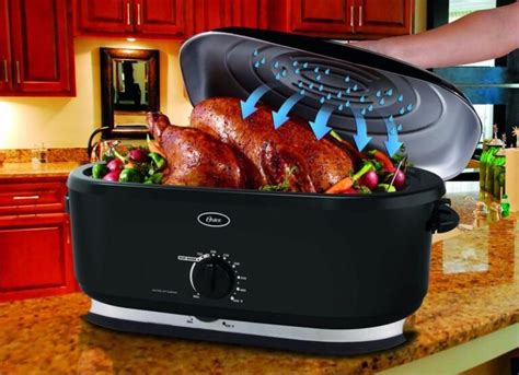 What Can You Cook In Electric Roaster Foodrecipestory