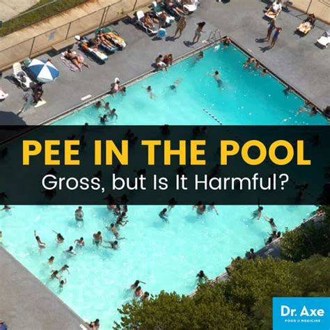 Health Effects Of Pee In The Pool Its More Than Just Gross Best