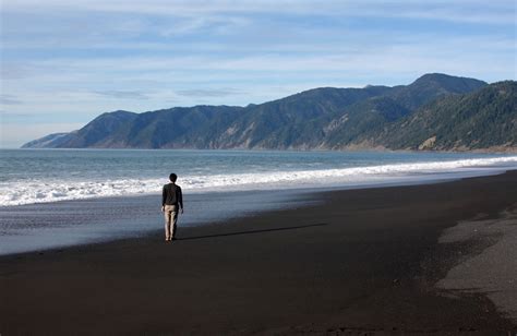 Take a walk on black sand beach and enjoy its dark sands and the peaceful forested surroundings. Top 10 Most Famous Black Sand Beaches in the World