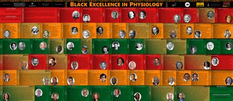 Diversity Equity And Inclusion In Mpb Molecular Physiology And Biophysics Vanderbilt University