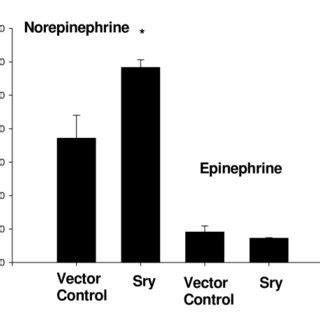 Tyrosine hydroxylase activity (measured as L-DOPA formed ...